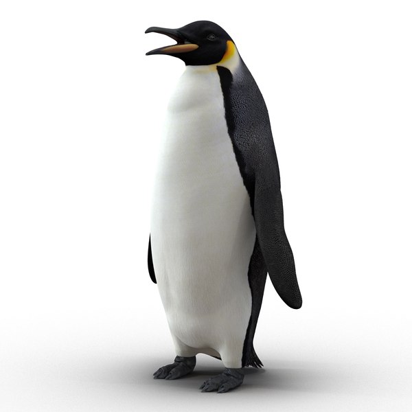 ペンギン3Dモデル - TurboSquid 1052555