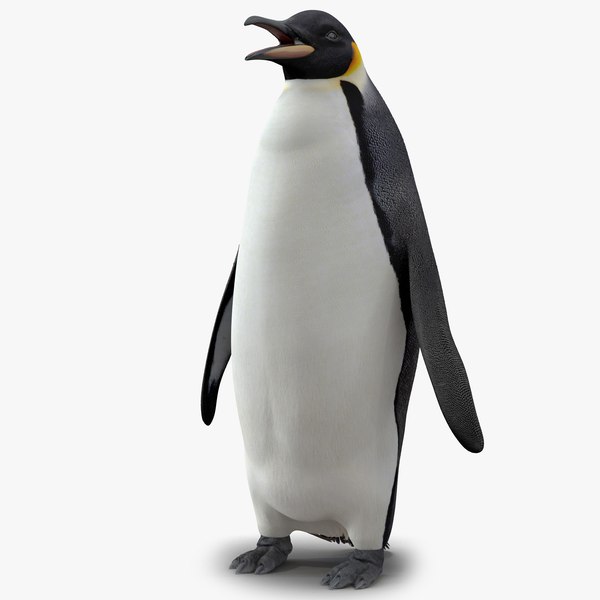 penguinvray3dmodel00.jpg