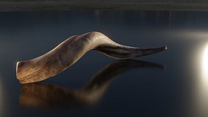 Shofar -- 4K High Fidelity Kudu Animal Horn 3D model
