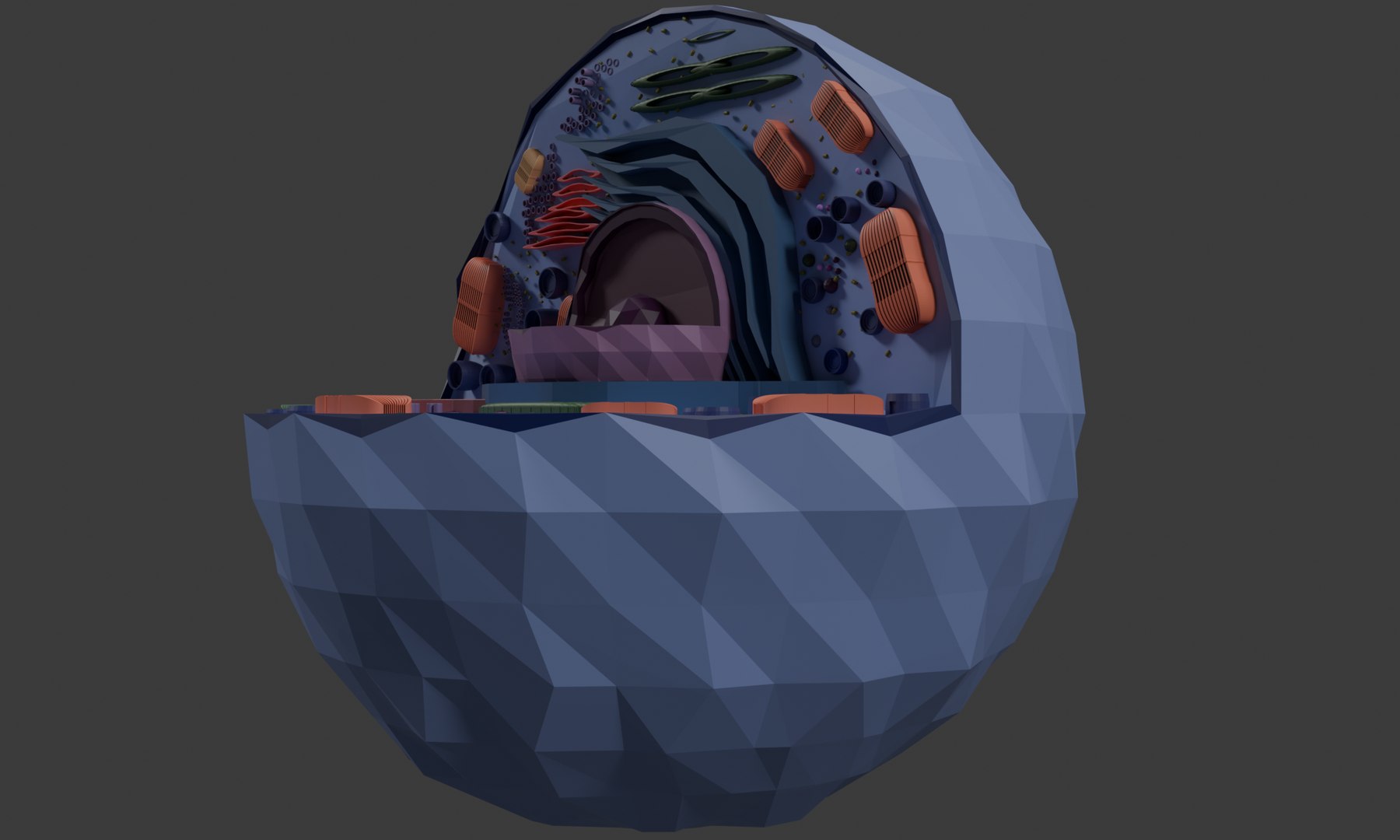 3D Cell 3D Model Detailed Biological Cell Structure Anatomy ...