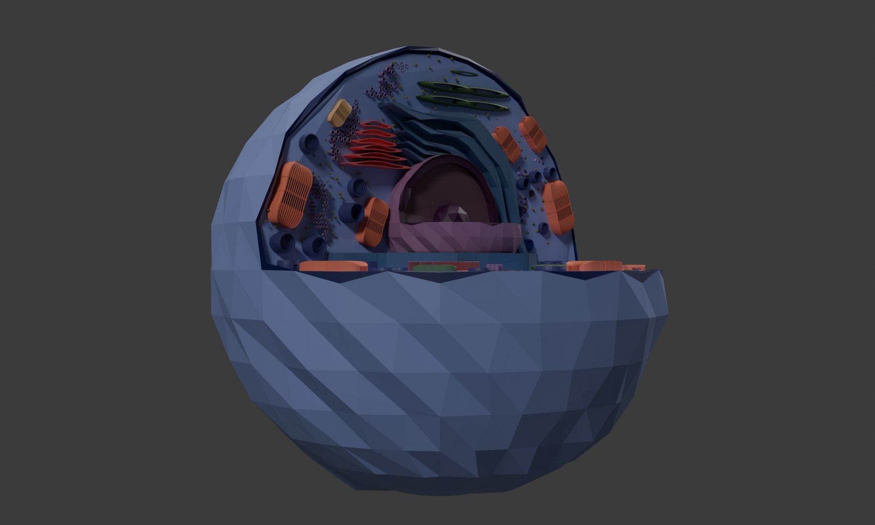 3D Cell 3D Model Detailed Biological Cell Structure Anatomy ...