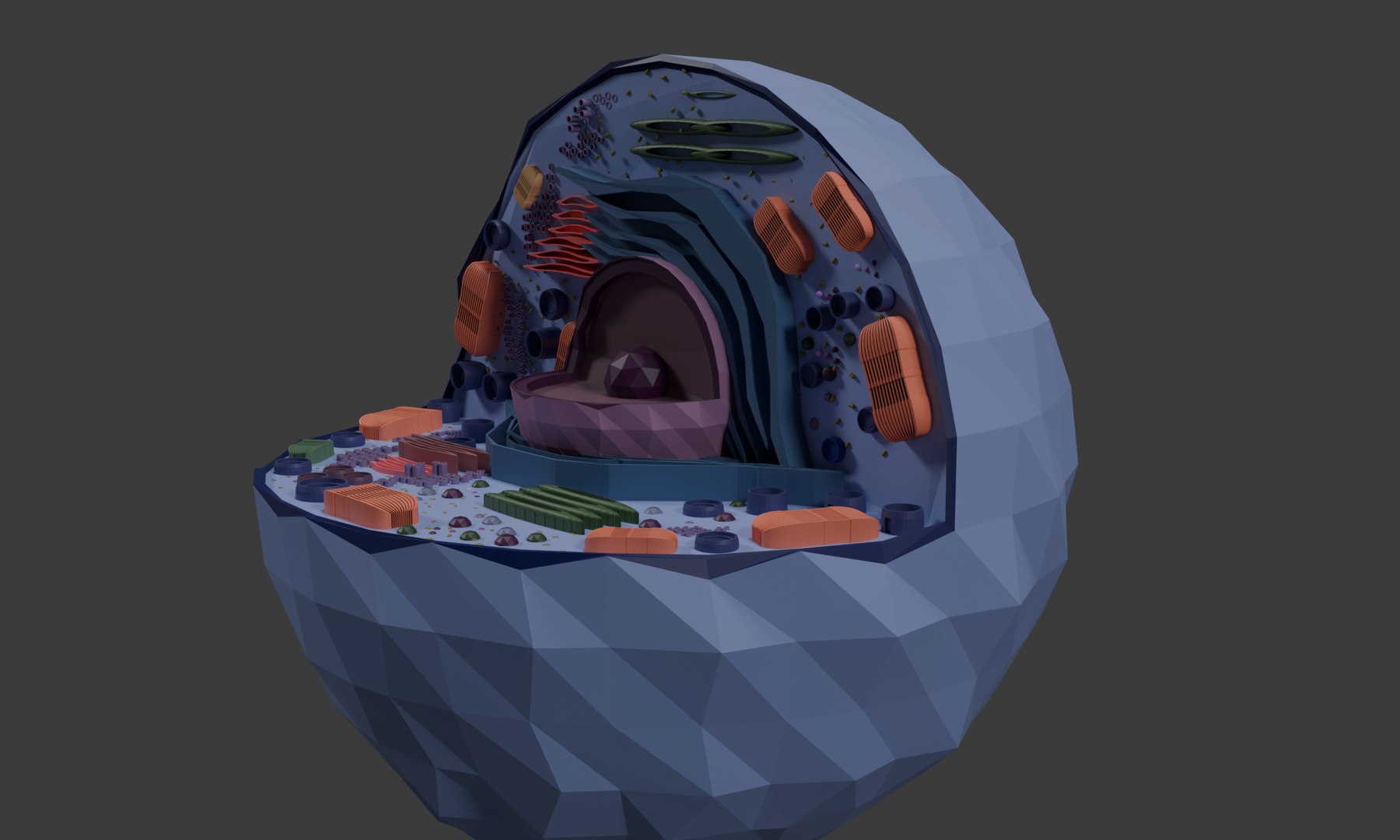 3D Cell 3D Model Detailed Biological Cell Structure Anatomy ...