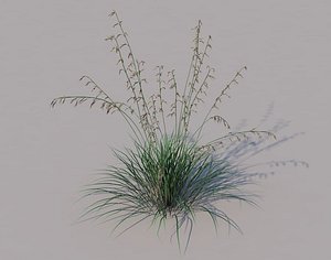 grass 3D model