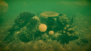 Corals Collection 3D model