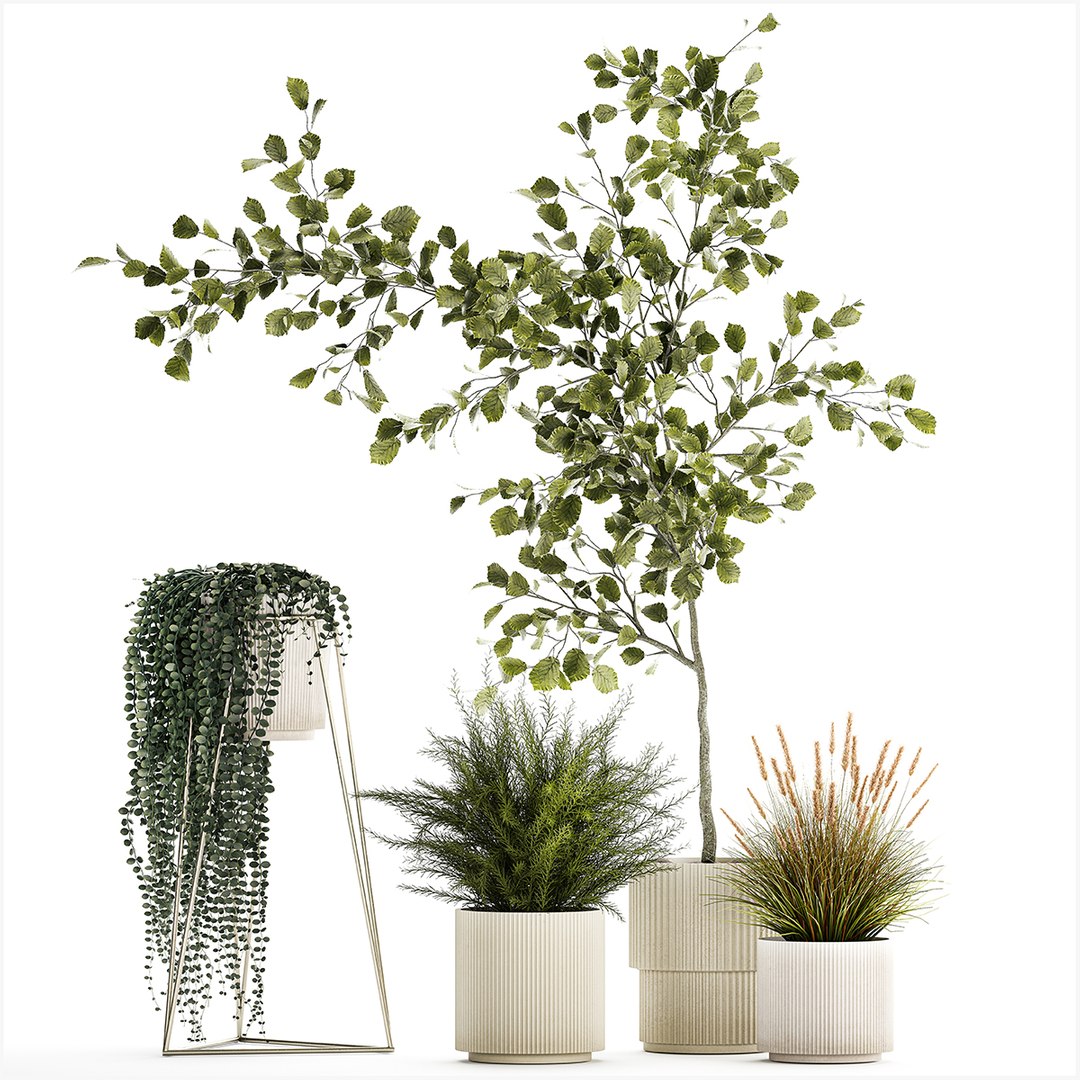 3D Beautiful Tree And Plants For The Interior In Pots 1254 - TurboSquid ...