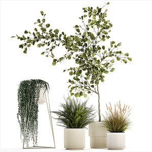 3D Beautiful tree and plants for the interior in pots 1254