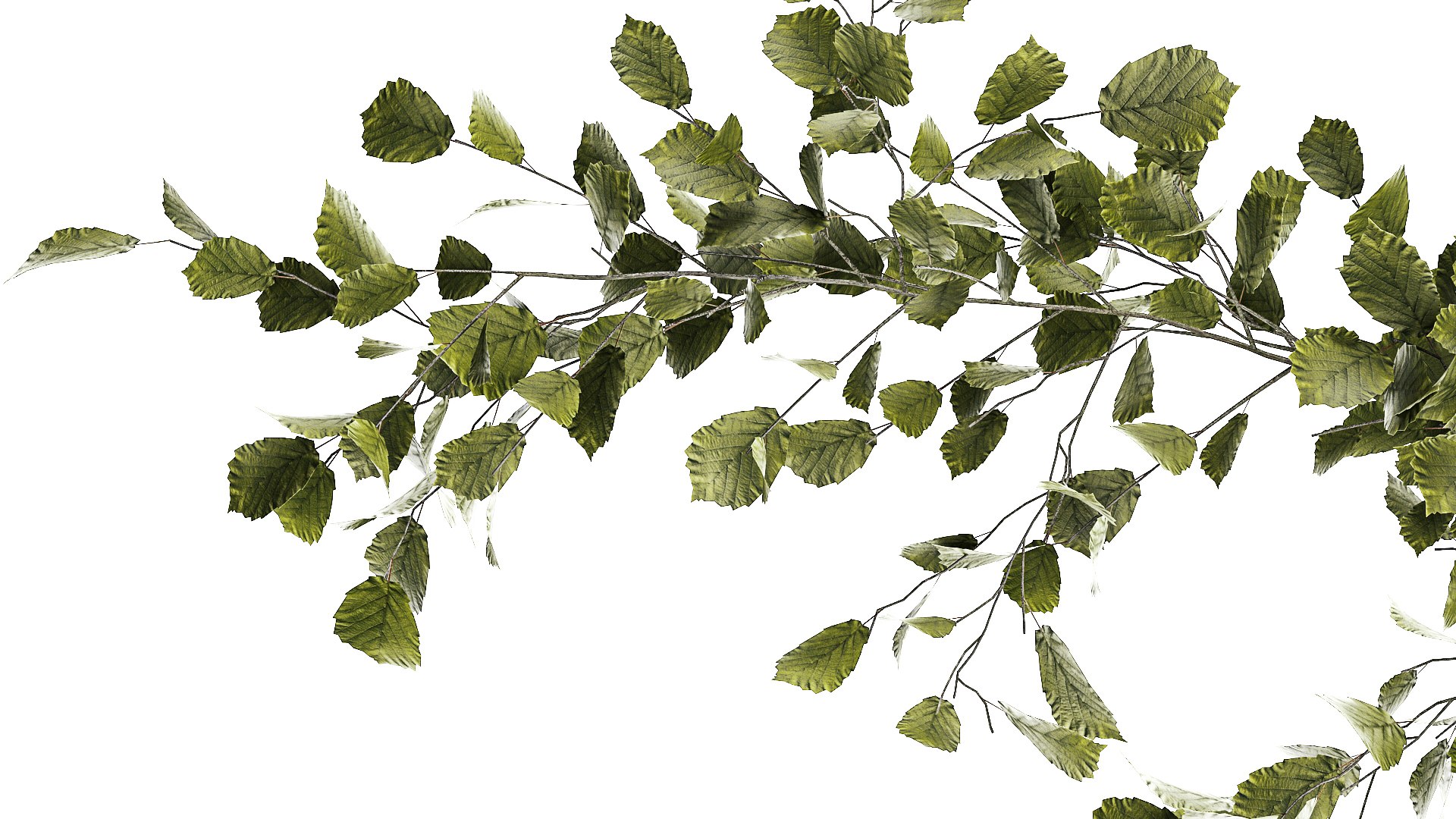 3D Beautiful Tree And Plants For The Interior In Pots 1254 TurboSquid 2049021