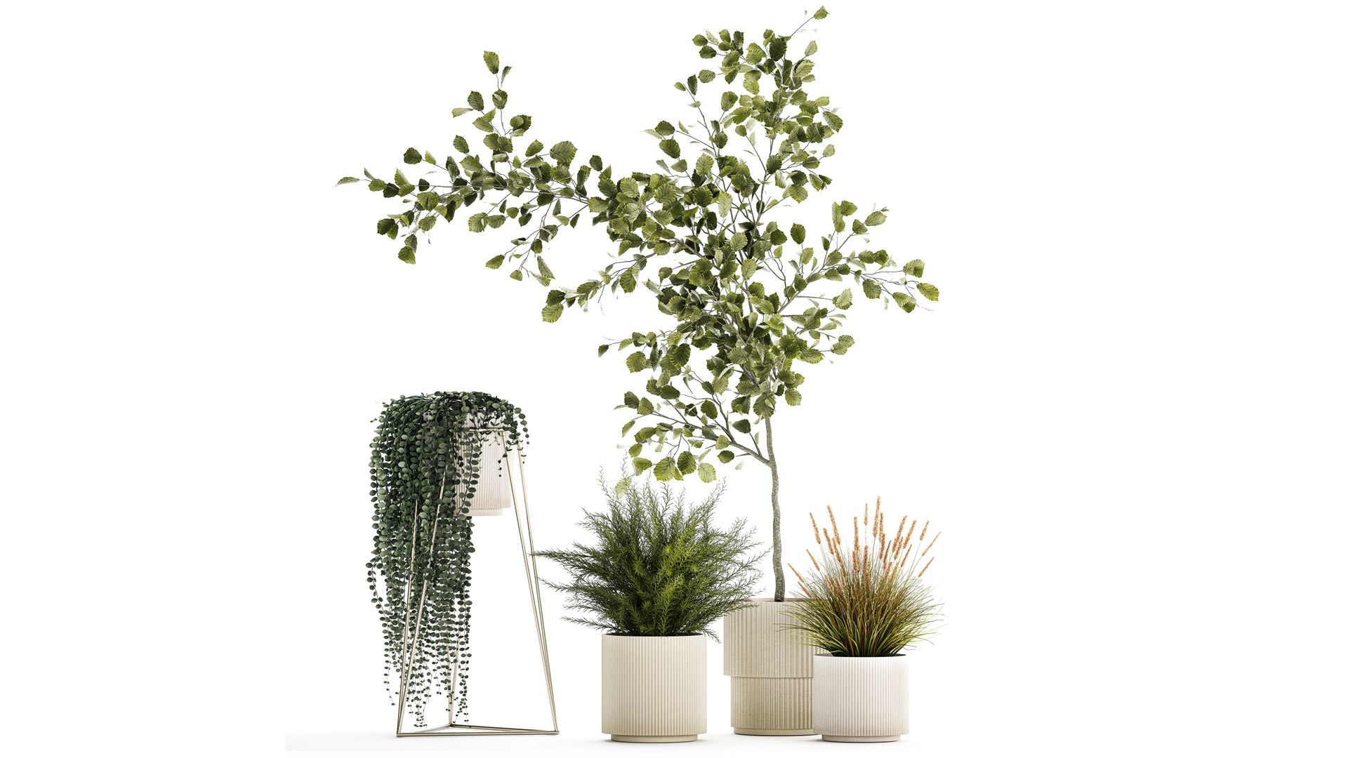 3D Beautiful Tree And Plants For The Interior In Pots 1254 - TurboSquid ...
