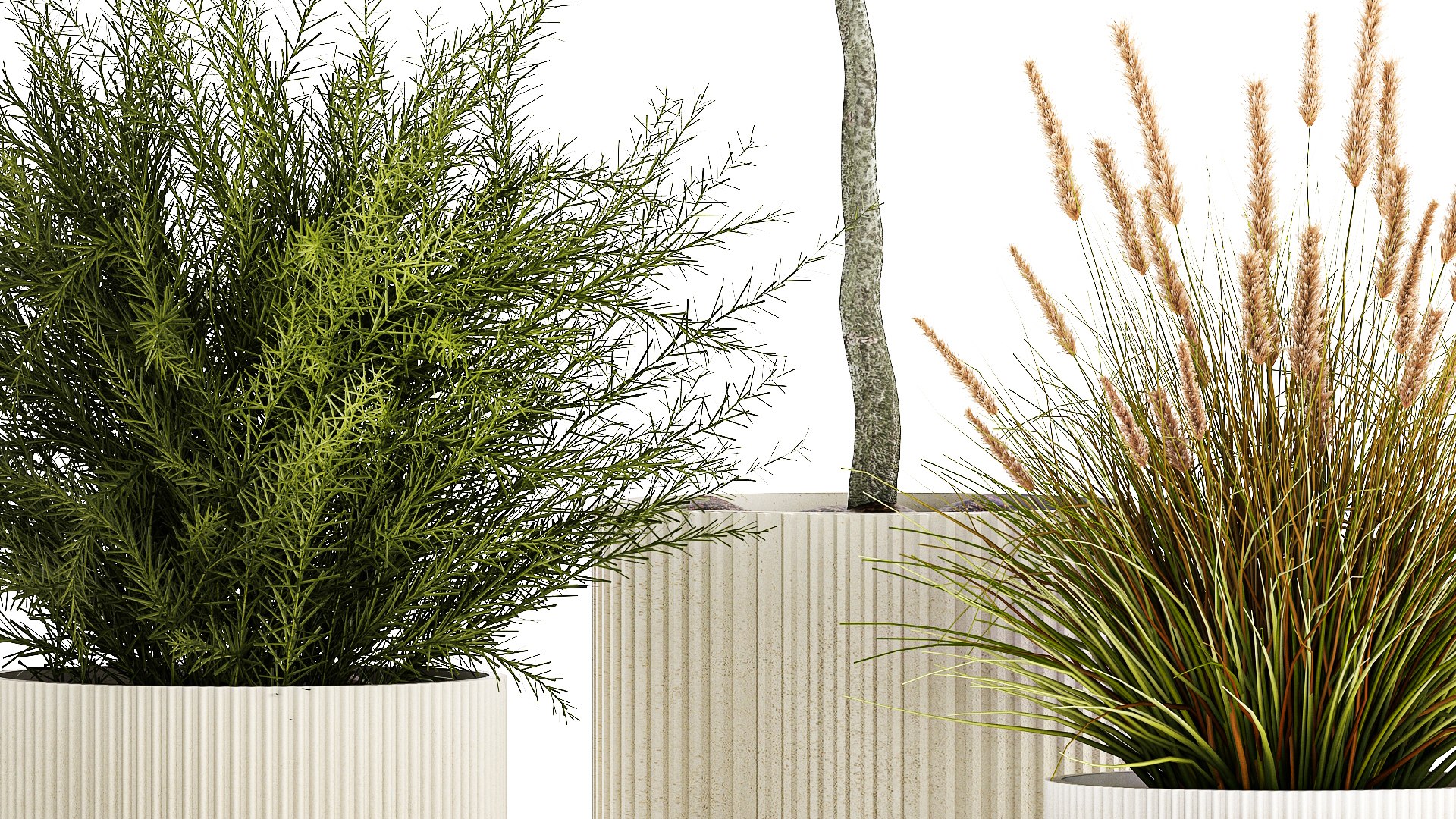 3D Beautiful Tree And Plants For The Interior In Pots 1254 - TurboSquid ...
