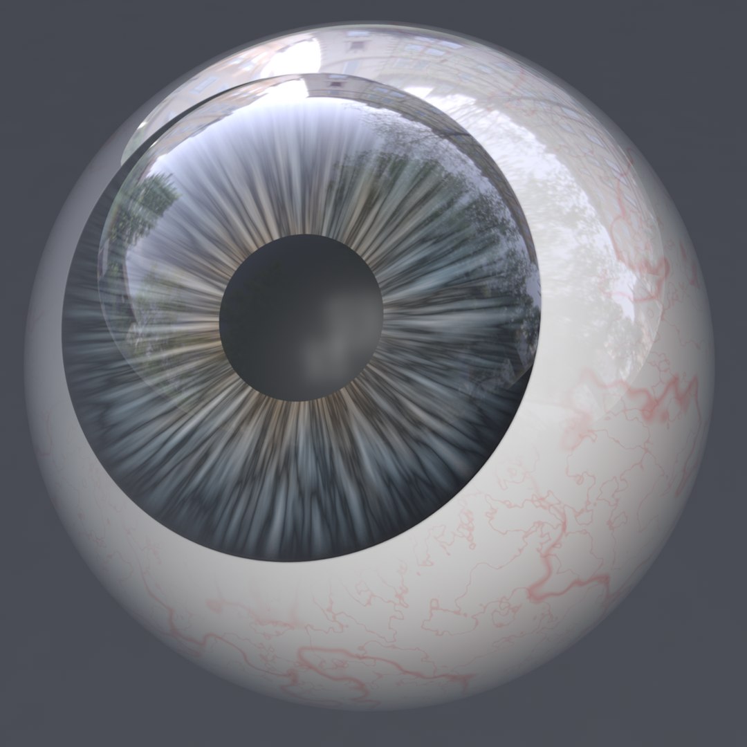 3D eye realistic human characters model https://p.turbosquid.com/ts-thumb/sR/kdSao1/52mxVD2p/9/png/1566660081/1920x1080/fit_q87/9af6bb2540c7e0c960b8f110d1a912244a6b78d7/9.jpg