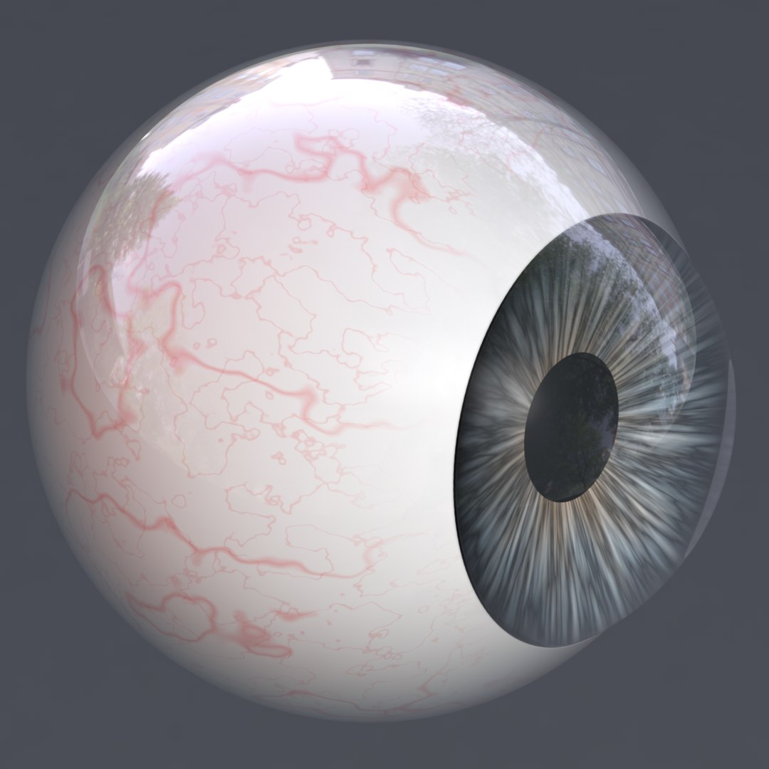 3D eye realistic human characters model https://p.turbosquid.com/ts-thumb/sR/kdSao1/BxZM6UHo/7/png/1566660027/1920x1080/fit_q87/3b5f2067e0a043809c550f6a49c0f0b838d73923/7.jpg