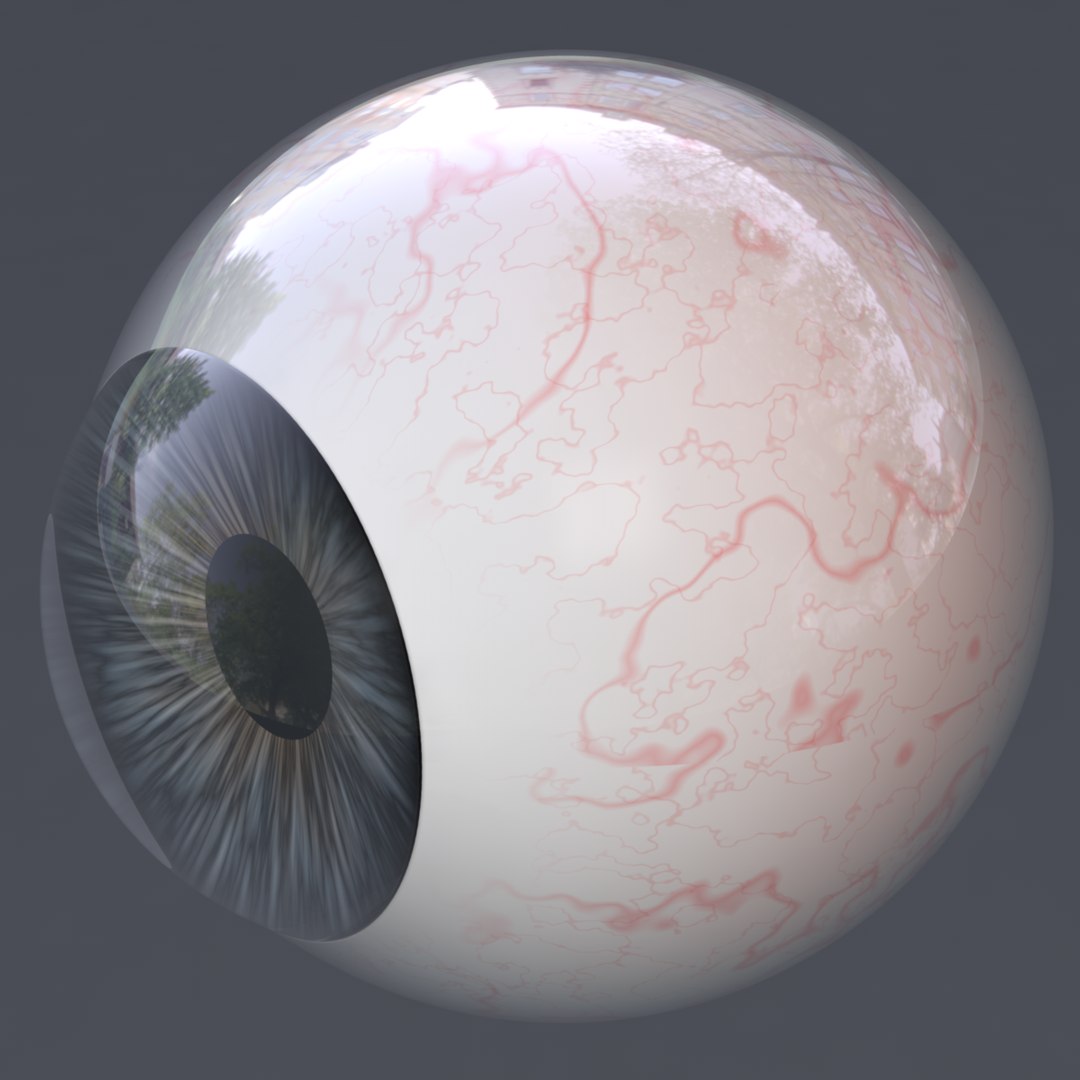3D eye realistic human characters model https://p.turbosquid.com/ts-thumb/sR/kdSao1/IXSJCIS0/5/png/1566659952/1920x1080/fit_q87/7cb83511862aa607c10d5830b205a6eb6ef323cf/5.jpg
