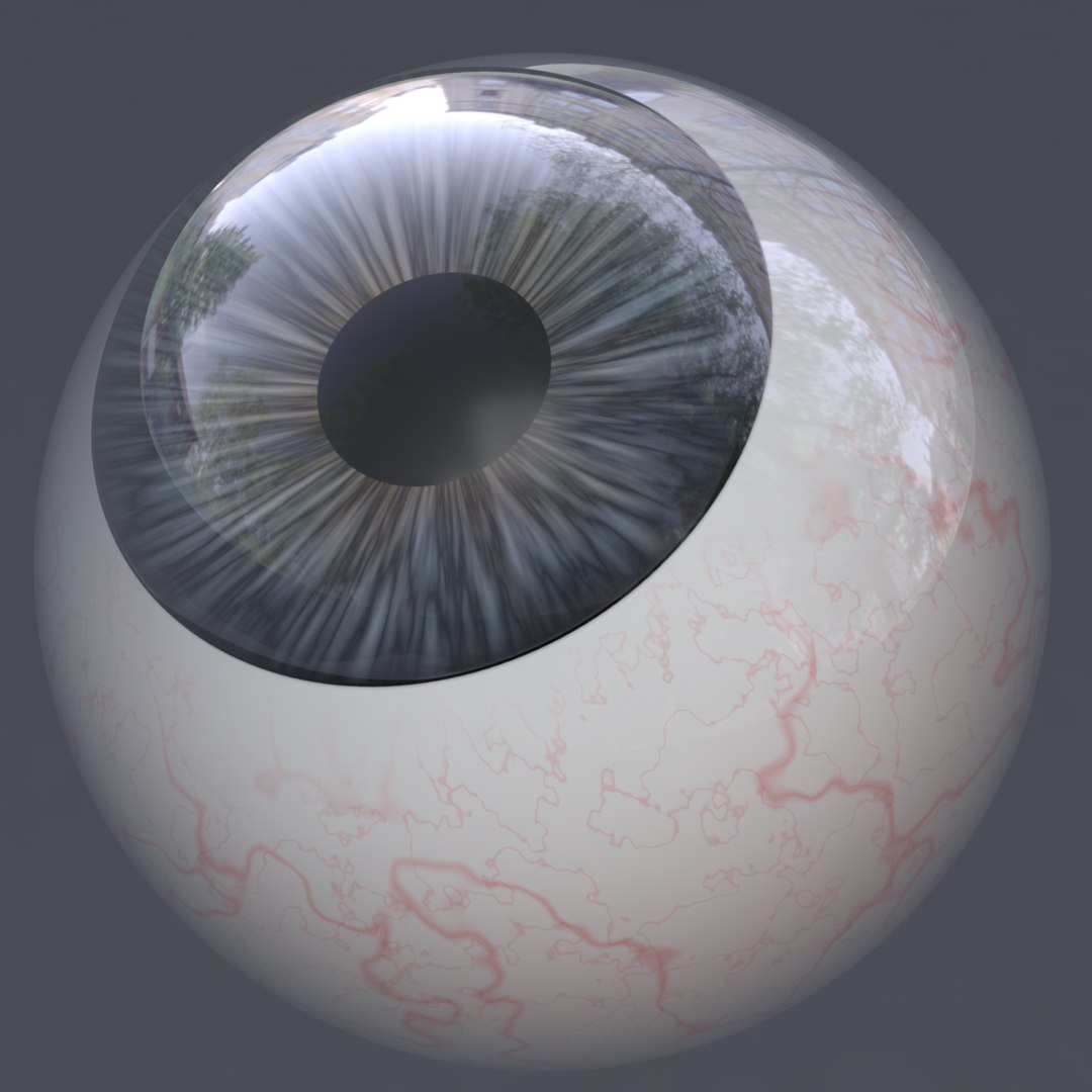 3D eye realistic human characters model https://p.turbosquid.com/ts-thumb/sR/kdSao1/m4dWe6ek/8/png/1566660037/1920x1080/fit_q87/26d6834a72ae9272a37524cc2a8dd4d465894355/8.jpg