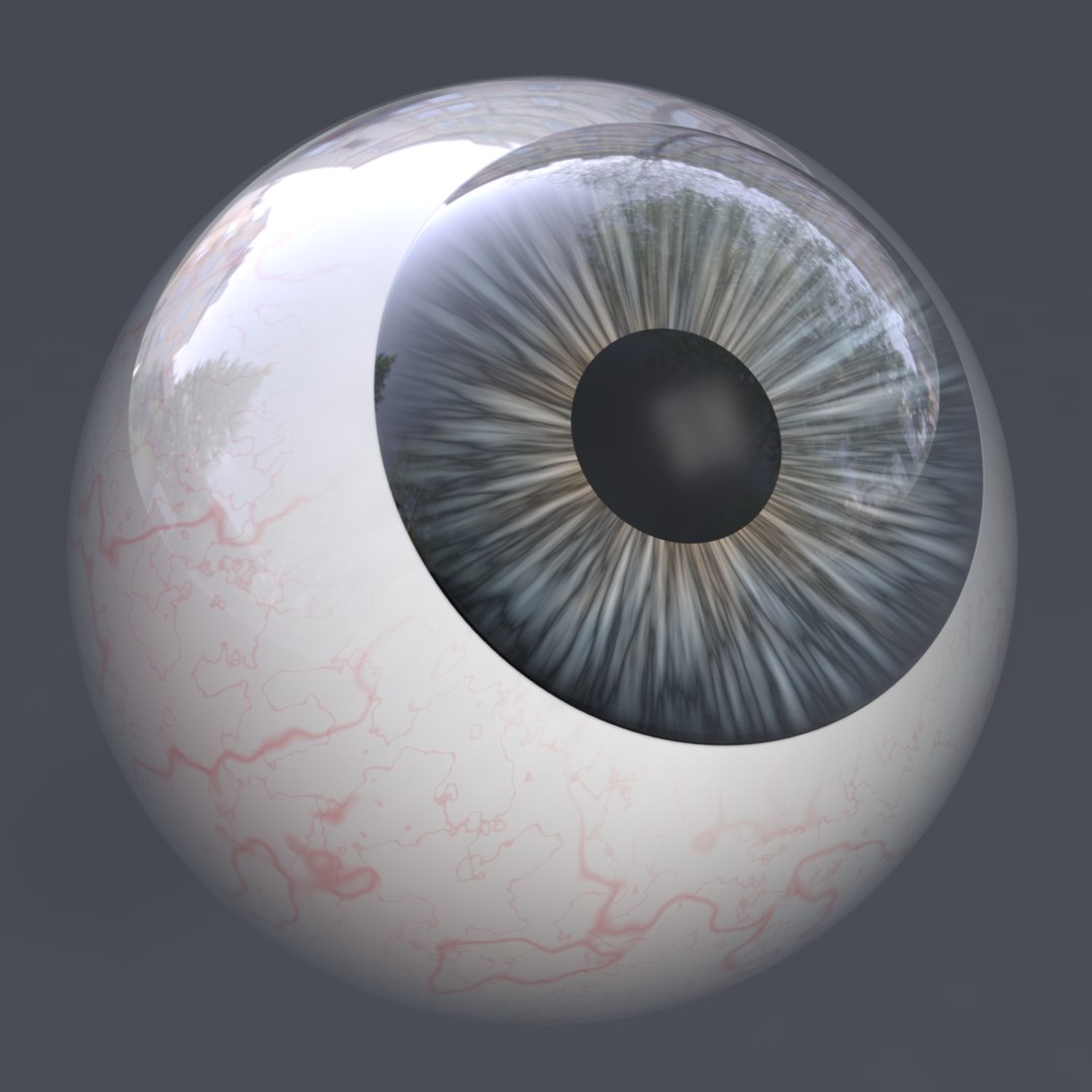 3D eye realistic human characters model https://p.turbosquid.com/ts-thumb/sR/kdSao1/qI9RZyDP/2/png/1566659873/1920x1080/fit_q87/0a831f0e0c5ddccc761efe37ad67a17b5d7aca3f/2.jpg