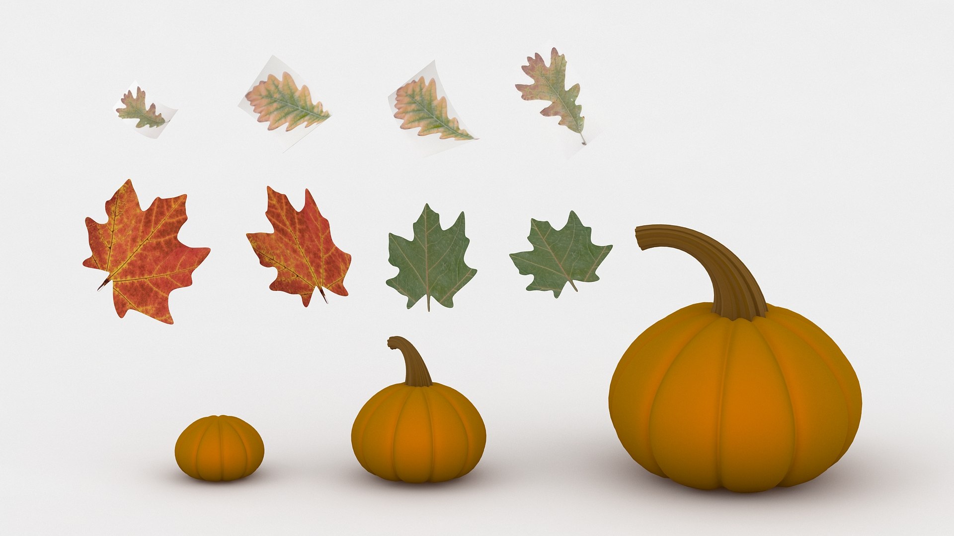 3D Thanksgiving Set https://p.turbosquid.com/ts-thumb/sR/xQISaF/EW/thanksgivingse5/jpg/1632057602/1920x1080/fit_q87/2e291f47ecf8d654cae136118d5d0efb3cf89faa/thanksgivingse5.jpg