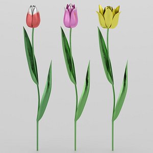 3D tulips metal