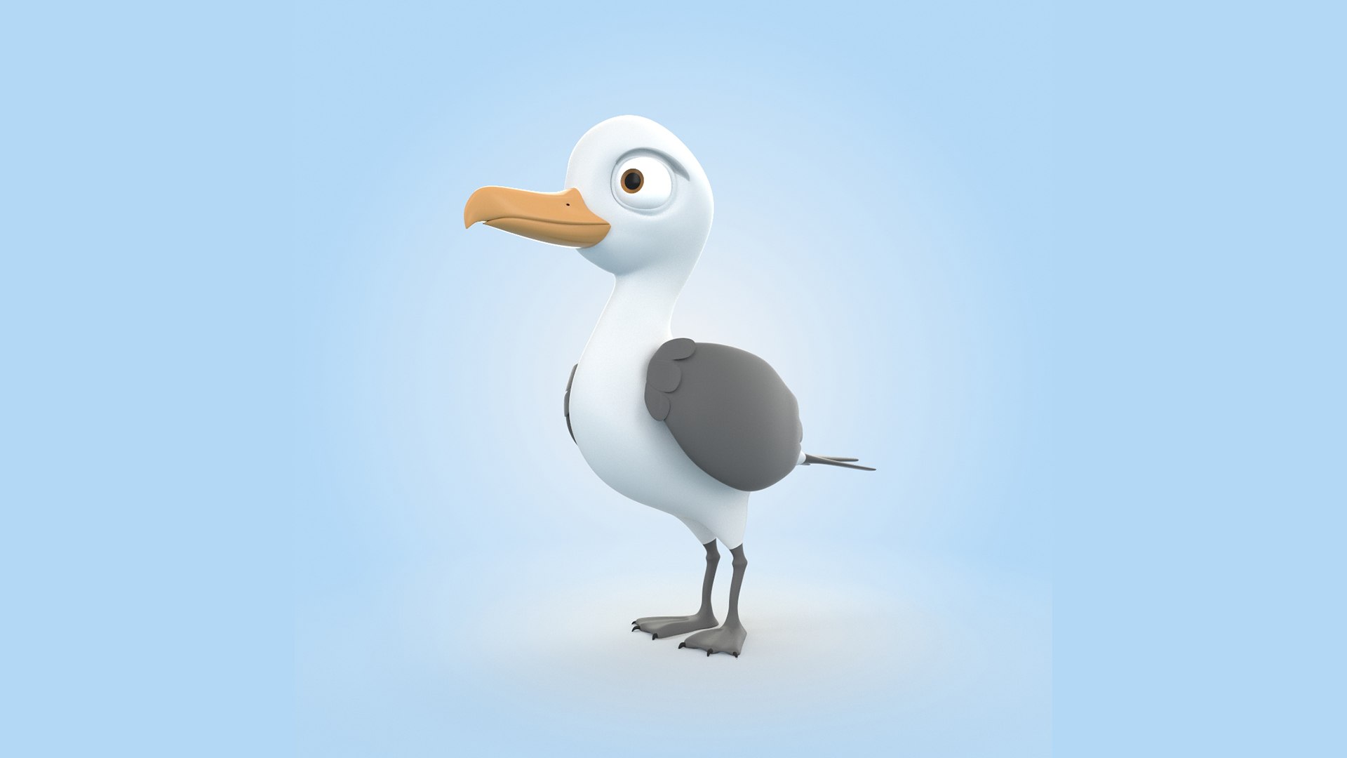 3D Albatross - TurboSquid 2016544