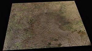 landscape grass field large area 150m part1 drone scan 3D model