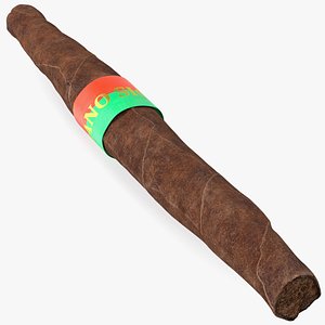 3D model Italian Toscano Cigar