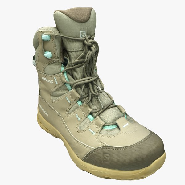 salomon 3d