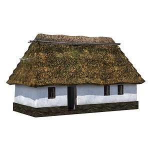 3D house straw roof