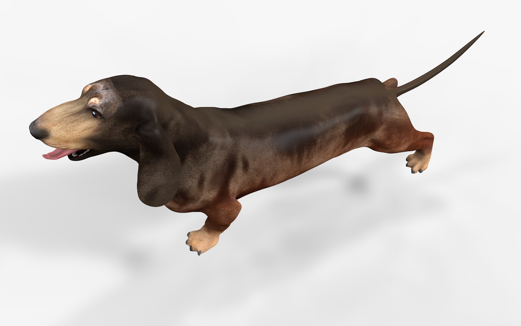 3D model Dachshund Rigged L1811 https://p.turbosquid.com/ts-thumb/sS/V6YMGO/0E/20_0012/png/1664068810/1920x1080/fit_q87/c9fabb43ebcedd899a08c5255a08c8ba579aaa73/20_0012.jpg