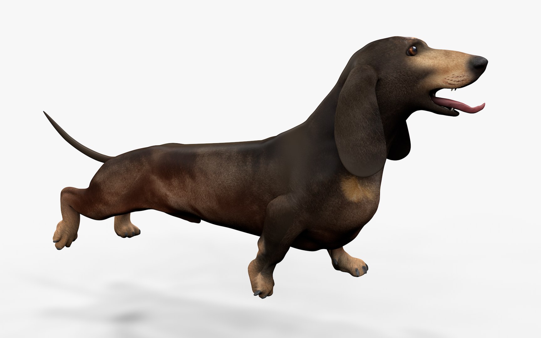 3D model Dachshund Rigged L1811 https://p.turbosquid.com/ts-thumb/sS/V6YMGO/2p/14_0012/png/1664068806/1920x1080/fit_q87/f139369713ec6f6d2449ac902c79a988bc9bf0ee/14_0012.jpg