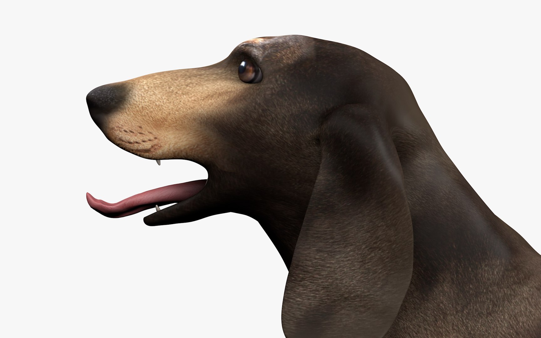 3D model Dachshund Rigged L1811 https://p.turbosquid.com/ts-thumb/sS/V6YMGO/NI/19_0012/png/1664068809/1920x1080/fit_q87/03c7e3be6fccda79a06c2f9655260034067f64a8/19_0012.jpg