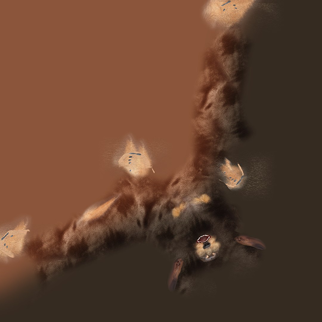 3D model Dachshund Rigged L1811 https://p.turbosquid.com/ts-thumb/sS/V6YMGO/Vy/uv/png/1664070056/1920x1080/fit_q87/621a0630ec59b90e61ff2175d710273e79f940c7/uv.jpg