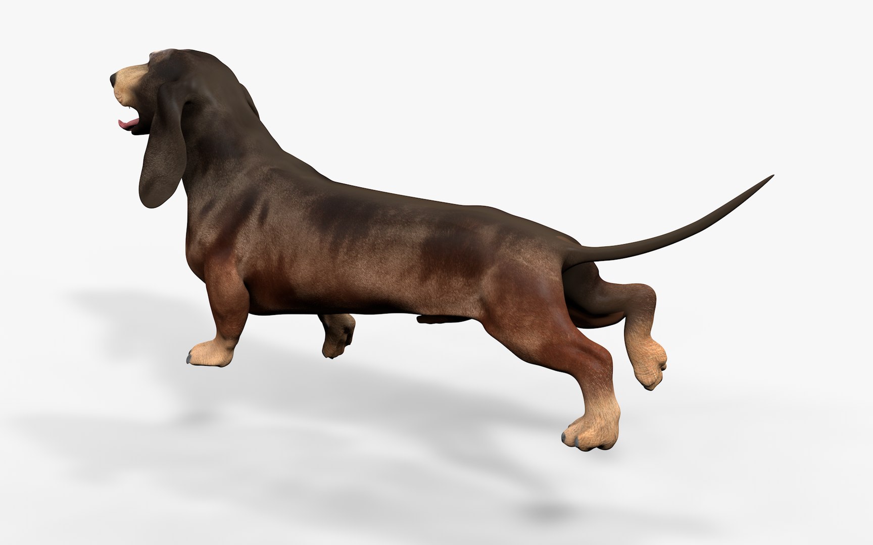 3D model Dachshund Rigged L1811 https://p.turbosquid.com/ts-thumb/sS/V6YMGO/qF/13_0012/png/1664068806/1920x1080/fit_q87/9ca7fbbd64dd8c3b250a57dfc190bafcd016ce81/13_0012.jpg