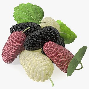 Pile of Mulberry Fruit 3D model
