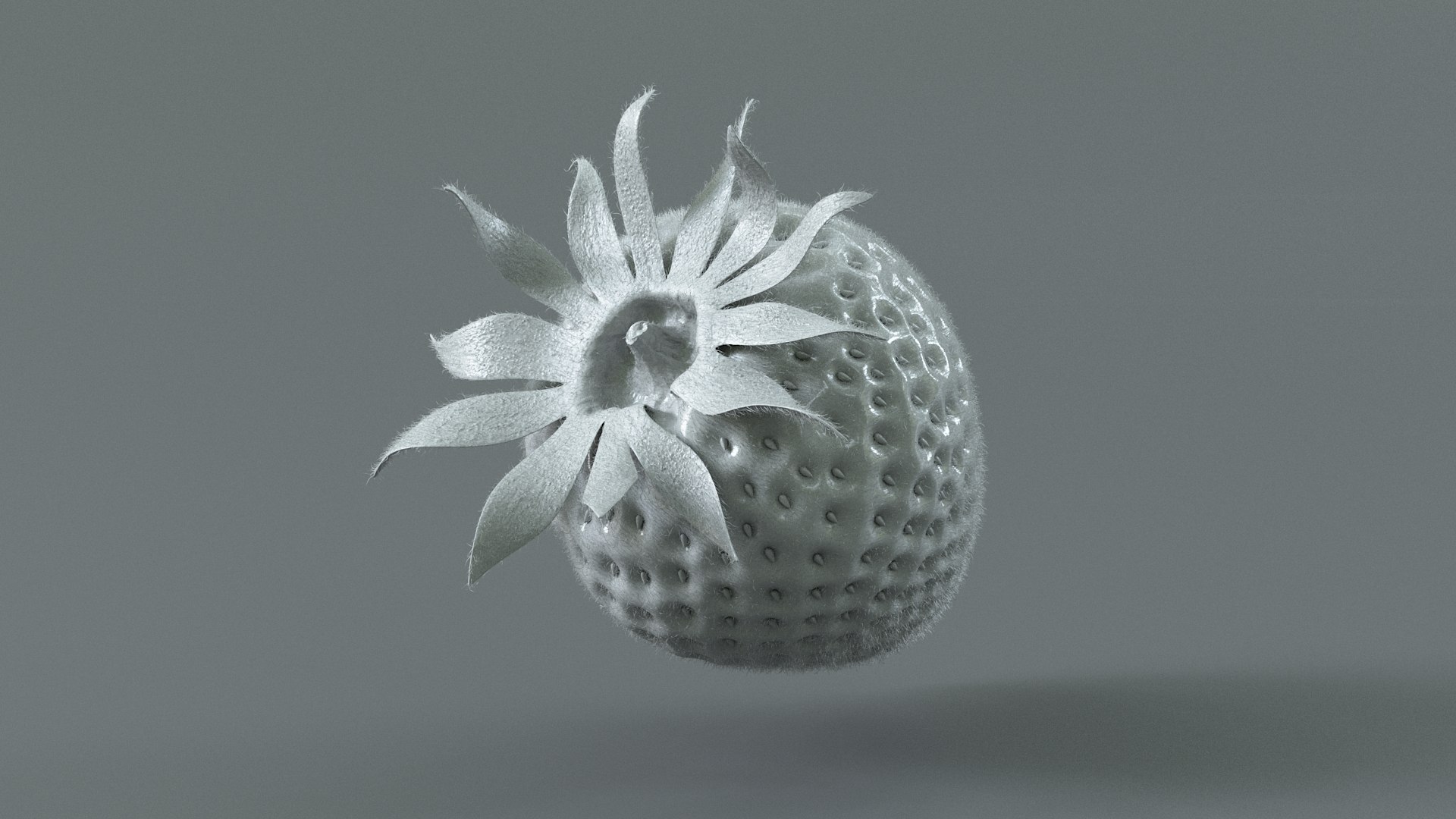 3D Strawberry Xgen https://p.turbosquid.com/ts-thumb/sS/exWmBu/KL/strawberry_xgen_13/jpg/1749110412/1920x1080/fit_q87/1edaa656c07dbecbab4a66d5009c29a9d43e4277/strawberry_xgen_13.jpg