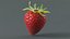 3D Strawberry Xgen