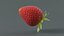3D Strawberry Xgen