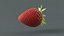 3D Strawberry Xgen