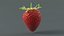 Strawberry Xgen