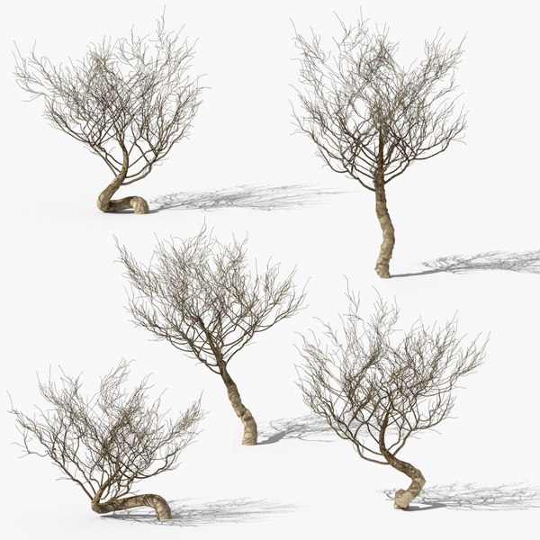 3d model random desert dry trees bushes