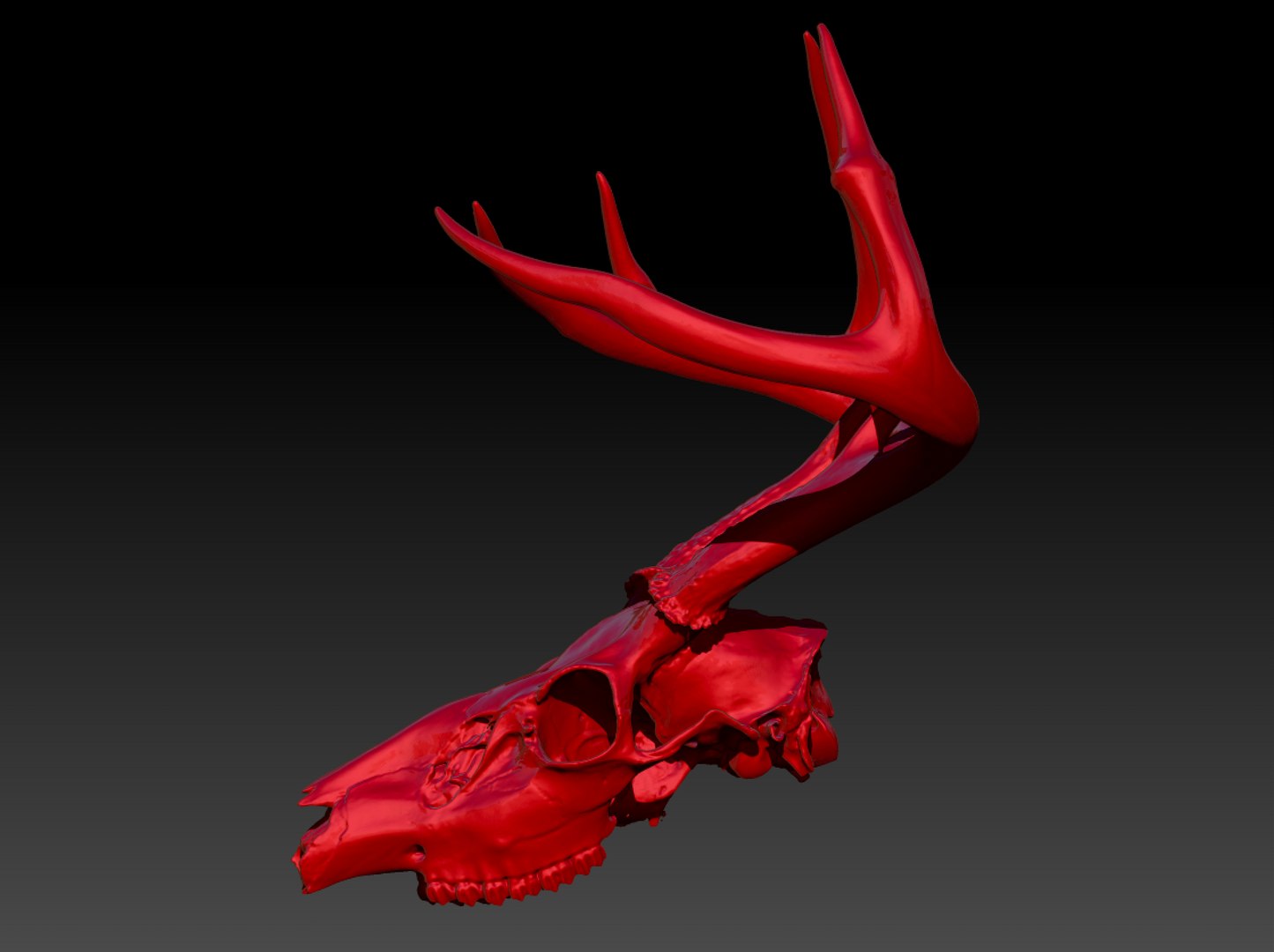 Deer 3D TurboSquid 1421164   4 