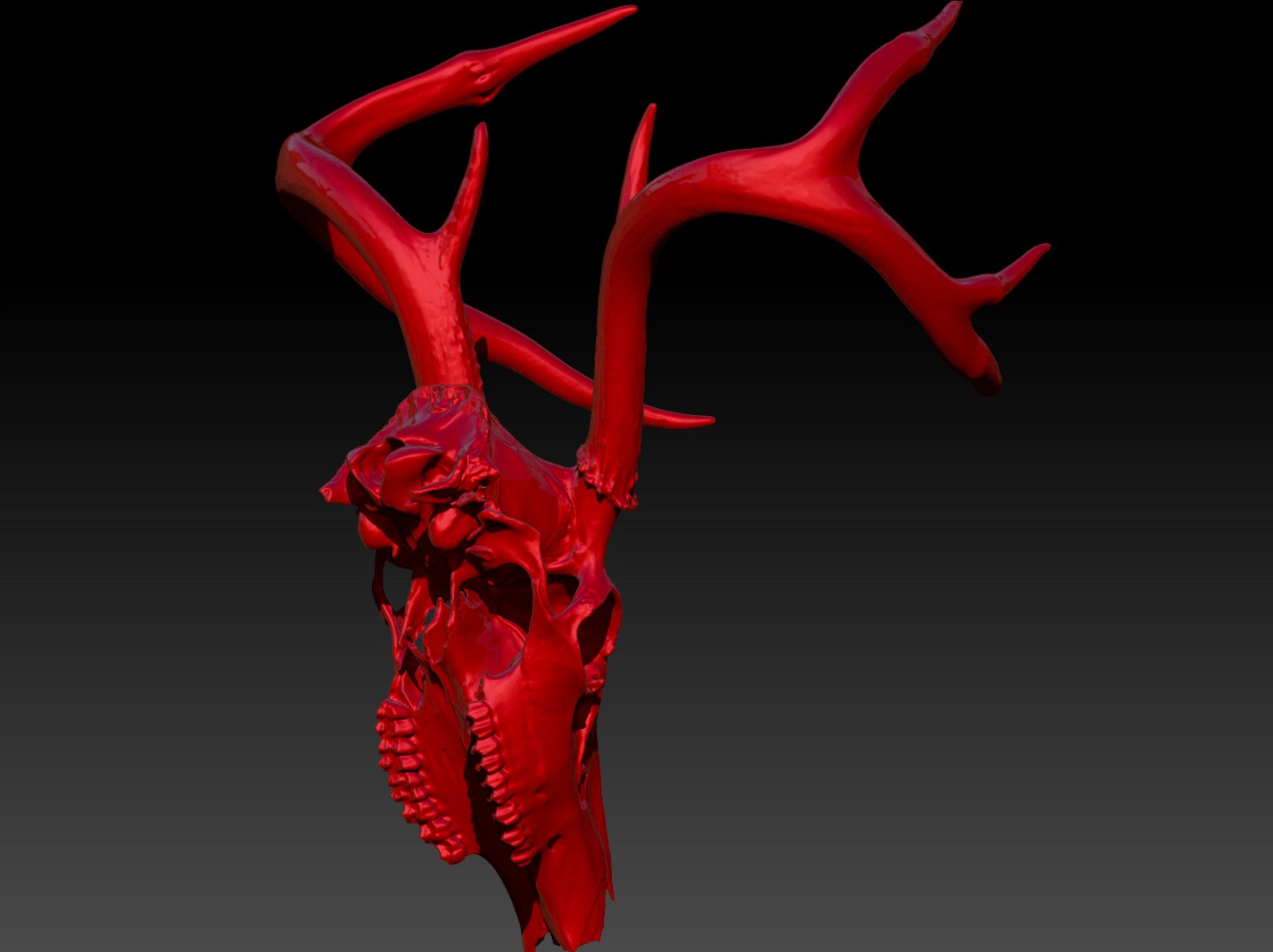 deer 3D https://p.turbosquid.com/ts-thumb/sS/oQtyYu/47Uny9gI/3/png/1561746982/1920x1080/fit_q87/90e7ef5fa6738eaf3922f3a8a2868e4f85b8d99e/3.jpg