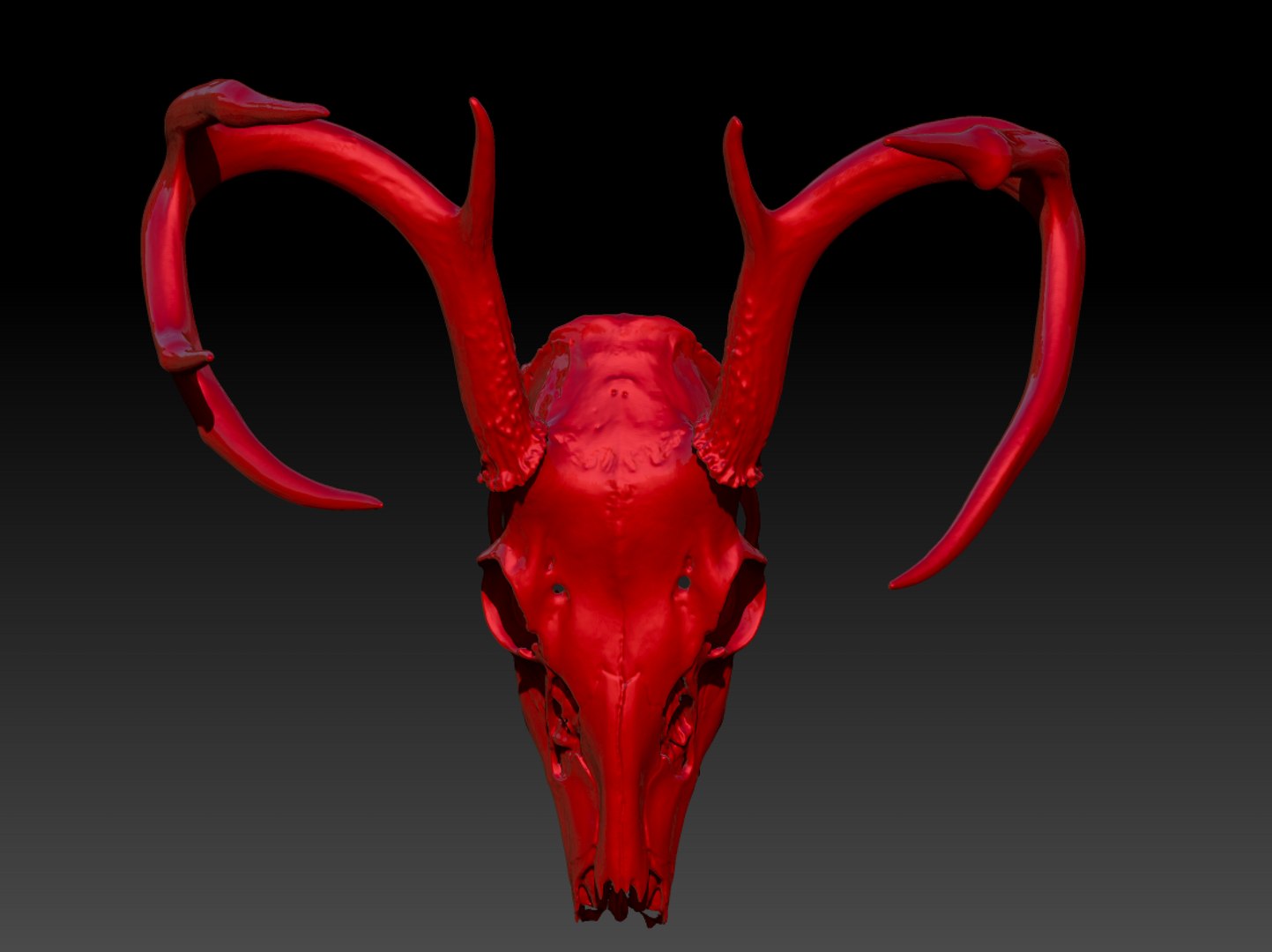 deer 3D https://p.turbosquid.com/ts-thumb/sS/oQtyYu/cpuomMAM/2/png/1561746957/1920x1080/fit_q87/a5cfdec78e9ae3a9aa15bc58c2e40c1cb70235c3/2.jpg