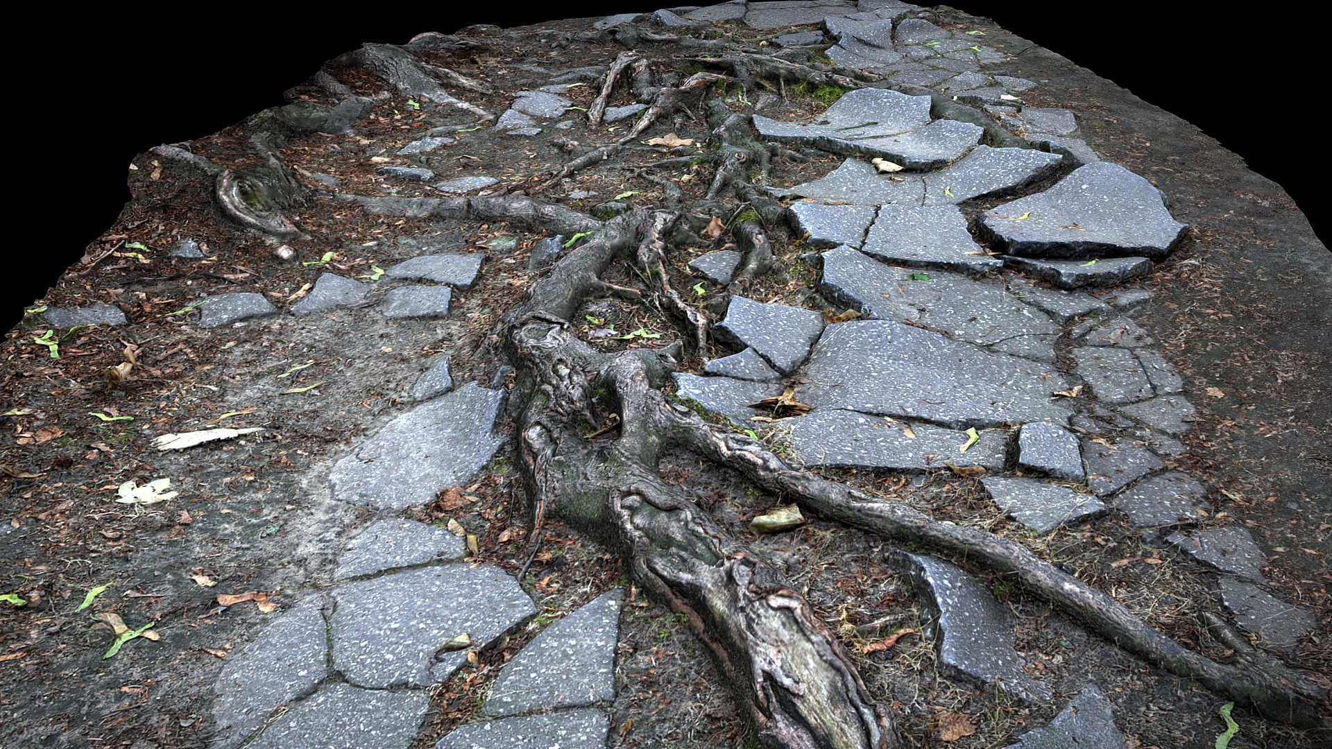 3D Asphalt Roots Damaged Road Part4 Photogrammetry - TurboSquid 2338029