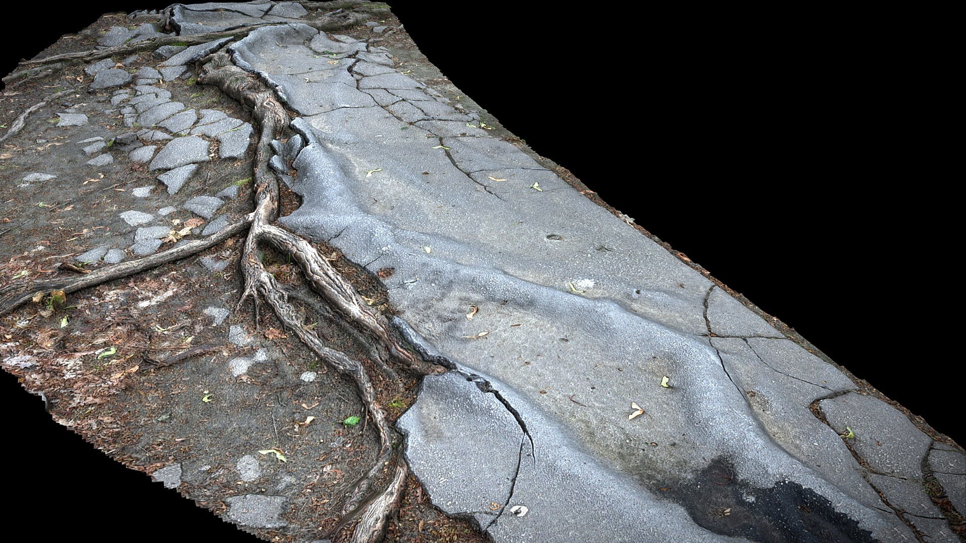 Asphalt Roots Damaged Road Part5 Photogrammetry Model - TurboSquid 2338071