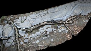 asphalt roots damaged road part5 photogrammetry model
