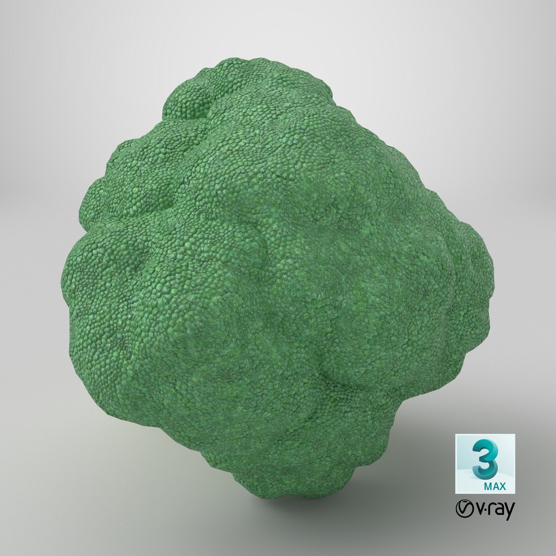 Whole Raw Broccoli Floret Green 3D model https://p.turbosquid.com/ts-thumb/sT/5apevE/18/stemcell_max_vray_render/png/1785254701/1920x1080/fit_q87/5a1ca0b0365641c452bdb125ed69e758842103a7/stemcell_max_vray_render.jpg