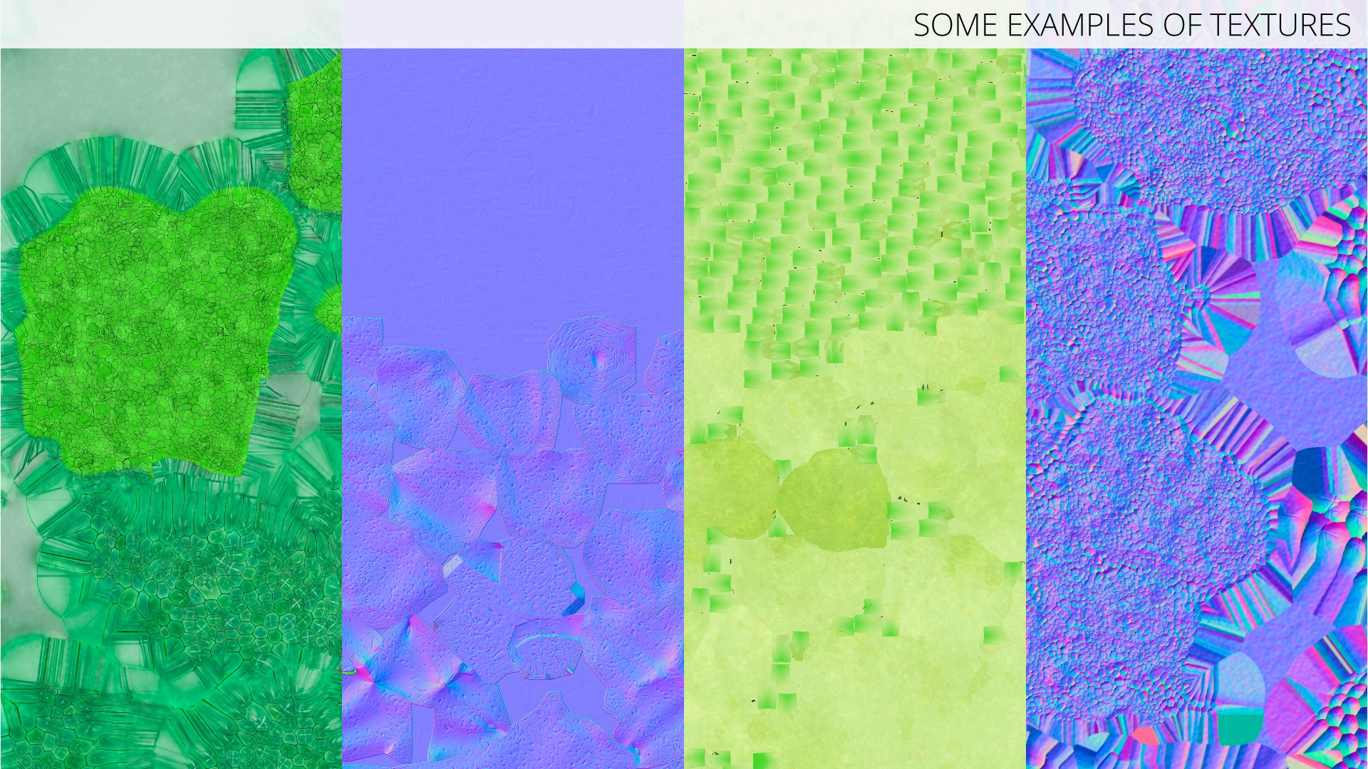 Whole Raw Broccoli Floret Green 3D model https://p.turbosquid.com/ts-thumb/sT/5apevE/Af/whole_raw_broccoli_floret_green_009/jpg/1760478640/1920x1080/fit_q87/52246ff8e285150cc3b2b8d65c75916c2a35a40e/whole_raw_broccoli_floret_green_009.jpg