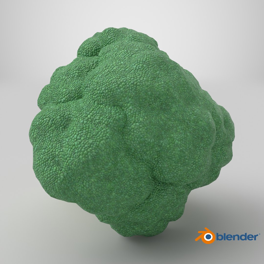 Whole Raw Broccoli Floret Green 3D model https://p.turbosquid.com/ts-thumb/sT/5apevE/Cu/stemcell_blender_cycles_render/png/1785254690/1920x1080/fit_q87/0ad3787e784a06a83389090b74e2395a278ab8ae/stemcell_blender_cycles_render.jpg