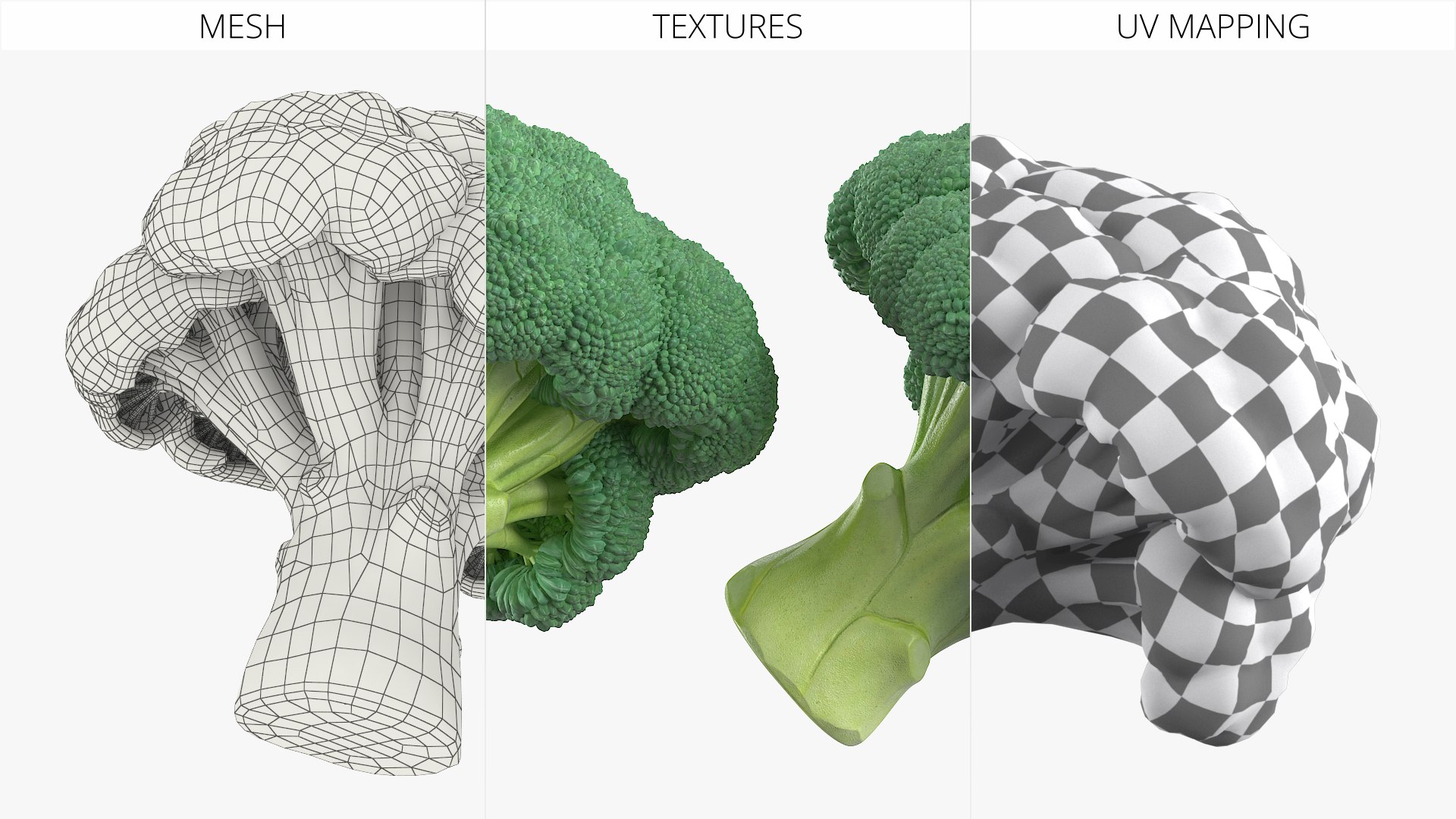 Whole Raw Broccoli Floret Green 3D model https://p.turbosquid.com/ts-thumb/sT/5apevE/Fh/whole_raw_broccoli_floret_green_004/jpg/1760478556/1920x1080/fit_q87/08b9d32d178d73a25d899a8cd283d4227bc27e88/whole_raw_broccoli_floret_green_004.jpg