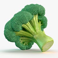 Whole Raw Broccoli Floret Green