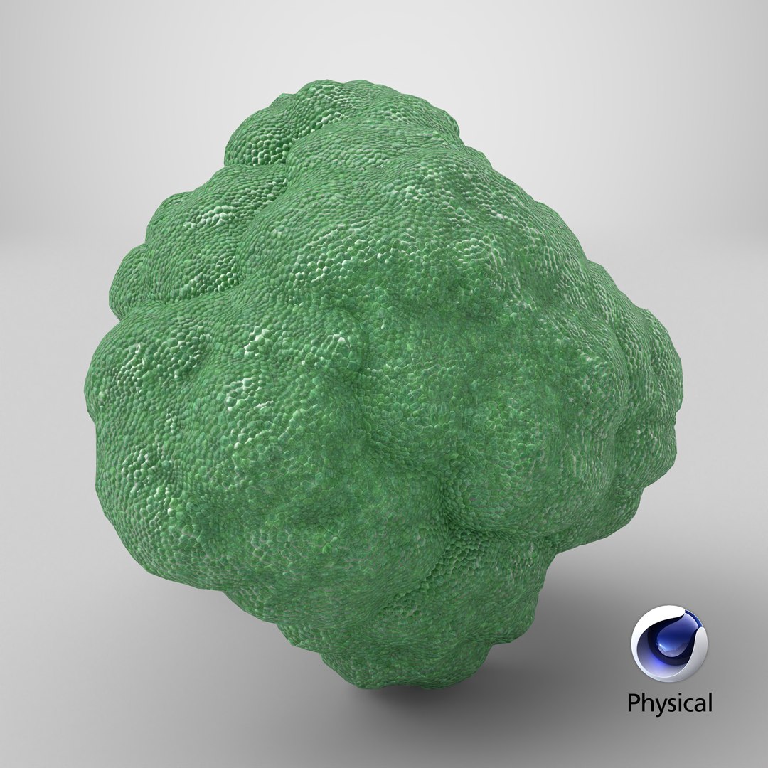 Whole Raw Broccoli Floret Green 3D model https://p.turbosquid.com/ts-thumb/sT/5apevE/cC/stemcell_cinema_4d_physical_render/png/1785254699/1920x1080/fit_q87/8098fe1862635c106e312bde9c41881c88e3bc9c/stemcell_cinema_4d_physical_render.jpg