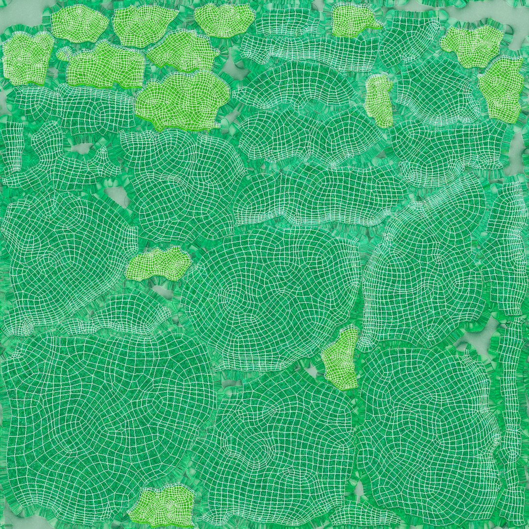 Whole Raw Broccoli Floret Green 3D model https://p.turbosquid.com/ts-thumb/sT/5apevE/df/whole_raw_broccoli_floret_green_008/jpg/1760478609/1920x1080/fit_q87/2f2d14313ee398a81a57b2f9408f3e9eab46369e/whole_raw_broccoli_floret_green_008.jpg